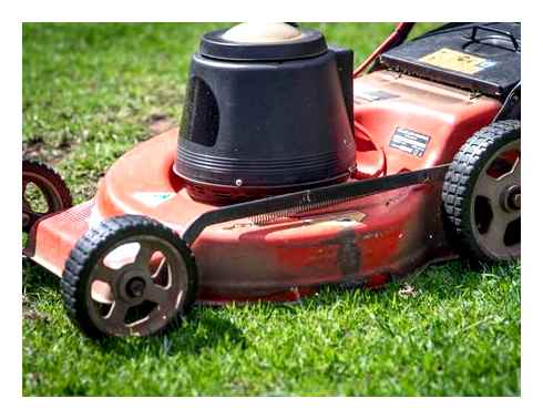 mower, keeps, stalling, issues, cause