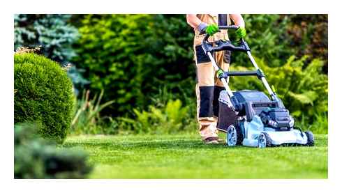 lawn, mower, made, best, lightweight, electric
