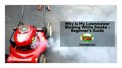 lawn, mower, smokes, help, white, dies