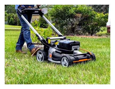 worx, nitro, mower, best, battery-powered, lawn