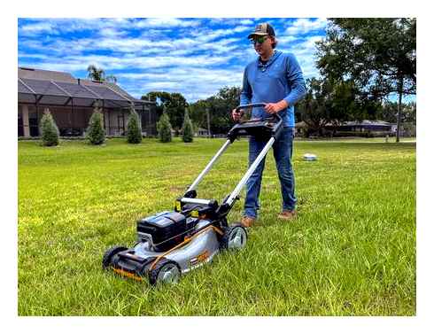 worx, nitro, mower, best, battery-powered, lawn